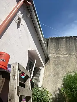 Snapshot of Alicbranca chatting on 02/26/26, 02:06 Alicbranca online show from 02/26/26, 02:06