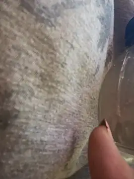 Alicbranca online show from 03/19/26, 12:38