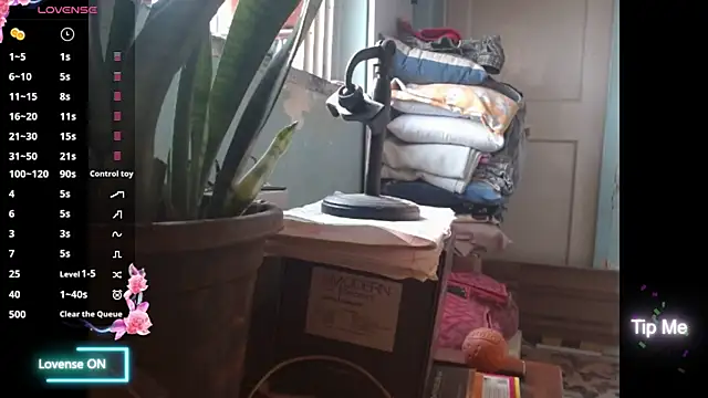 Star-Night online show from 02/01/26, 04:11