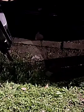 jeancarloscum12 online show from 02/10/26, 08:35