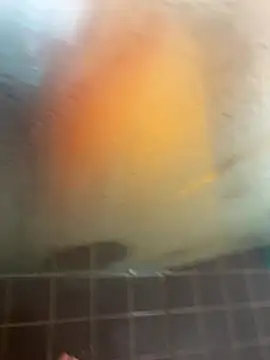 Mark3706 online show from 09/21/25, 11:04