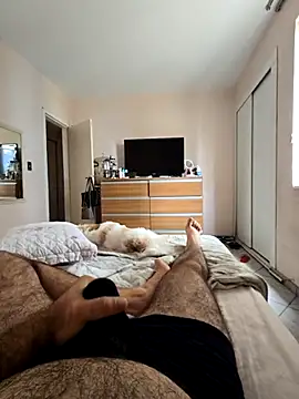 MysterBearMG online show from 04/12/26, 01:58