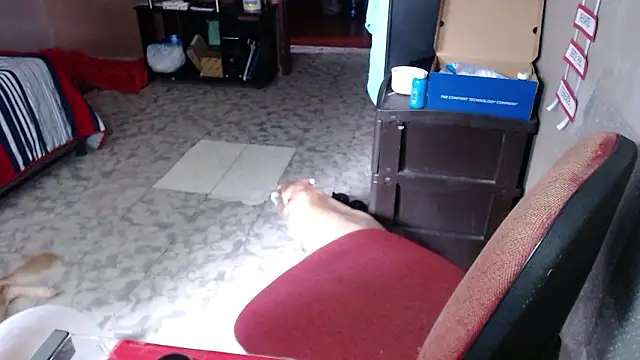 Barbiegomez online show from 03/25/26, 05:23