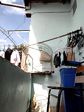 Monseratte21 online show from 09/11/25, 01:11