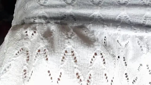 Snapshot of aleera_starxx982 chatting on 01/11/26, 12:01 aleera starxx982 online show from 01/11/26, 12:01