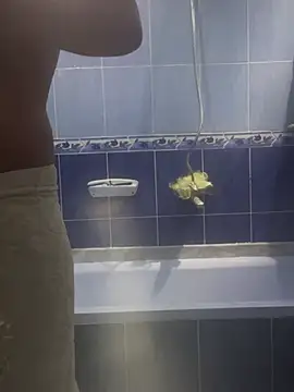 Arabien Pharaoh- online show from 03/20/25, 05:58