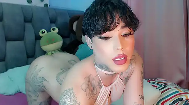little star porn online show from 12/13/24, 02:05