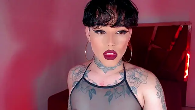 little star porn online show from 10/30/25, 04:11