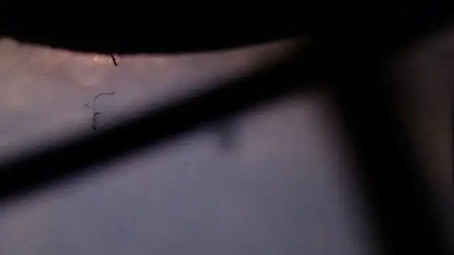 Cordt27 online show from 02/12/26, 04:07