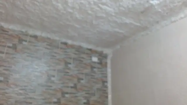 omar alurba online show from 12/04/25, 05:12