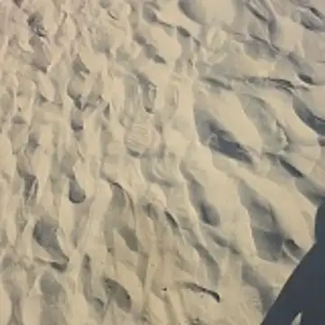 Snapshot of Trucker_Hunter chatting on 10/26/25, 03:45 Trucker Hunter online show from 10/26/25, 03:45