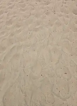 Snapshot of Trucker_Hunter chatting on 09/25/25, 01:06 Trucker Hunter online show from 09/25/25, 01:06