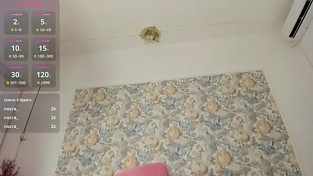 illegal lorry online show from 01/10/26, 06:09