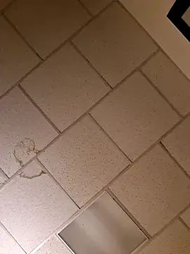 curiouscock38 online show from 11/20/25, 11:55