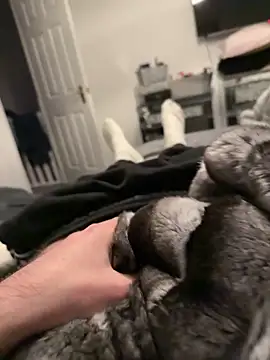 Furdale online show from 12/17/25, 04:12