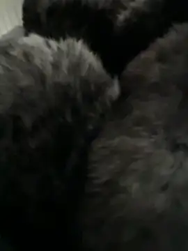 Furdale online show from 02/14/26, 03:01