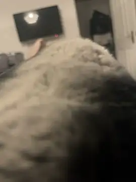 Furdale online show from 01/13/25, 04:08