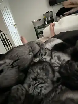 Furdale online show from 03/15/26, 12:45