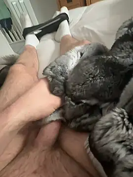 Furdale online show from 04/15/26, 10:10