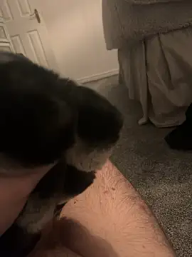 Furdale online show from 01/06/25, 05:06