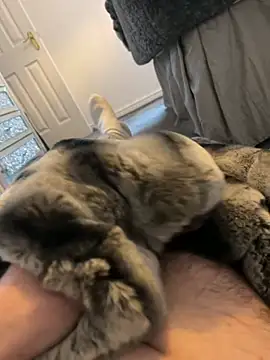 Furdale online show from 01/03/25, 01:57