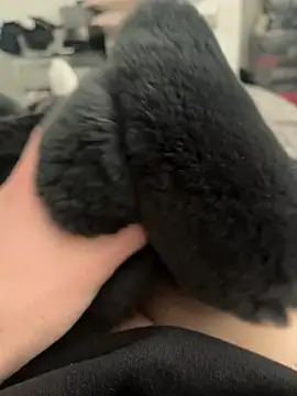 Furdale online show from 02/28/25, 11:36