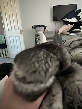 Furdale online show from 11/30/25, 11:22