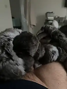 Furdale online show from 02/24/26, 04:52