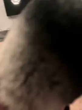 Furdale online show from 01/31/25, 07:08