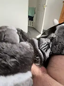 Furdale online show from 03/22/26, 02:18