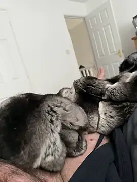 Furdale online show from 04/25/26, 11:35