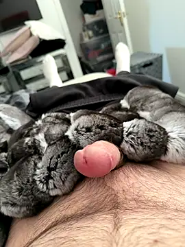 Furdale online show from 09/25/25, 04:57