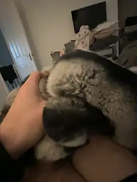 Furdale online show from 01/24/25, 02:41