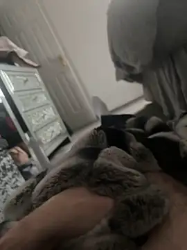 Furdale online show from 01/07/25, 02:08