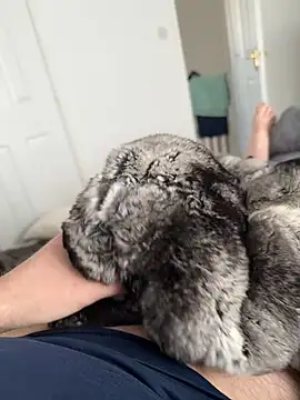 Furdale online show from 04/27/26, 12:03