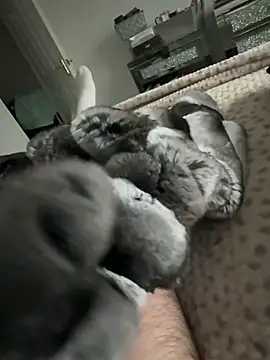 Furdale online show from 02/09/26, 03:43