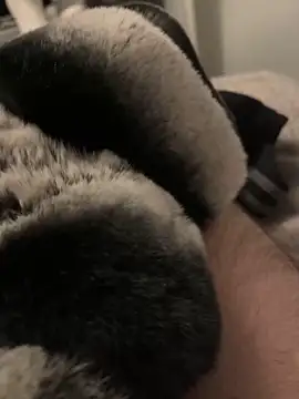 Furdale online show from 01/10/25, 05:02