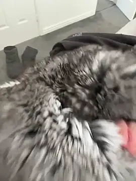 Furdale online show from 04/16/26, 12:17