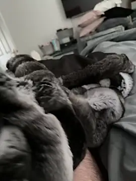 Furdale online show from 10/30/25, 02:14