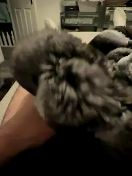 Furdale online show from 11/24/25, 04:40