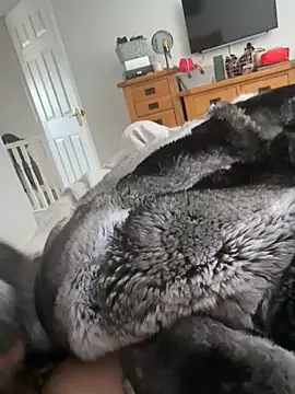 Furdale online show from 04/18/26, 10:28