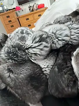 Furdale online show from 04/22/26, 03:19