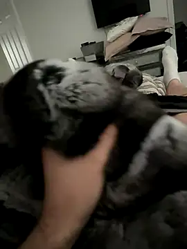 Furdale online show from 10/14/25, 03:01