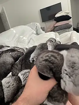 Furdale online show from 11/02/25, 01:05