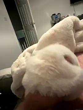 Furdale online show from 11/06/25, 05:28