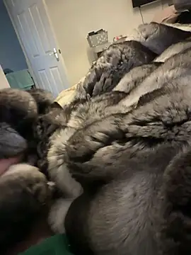 Furdale online show from 02/15/26, 01:32