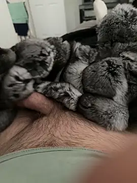 Furdale online show from 09/22/25, 04:13