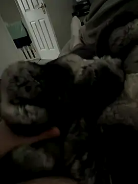 Furdale online show from 11/27/25, 01:55