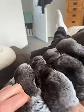 Furdale online show from 04/07/26, 01:35