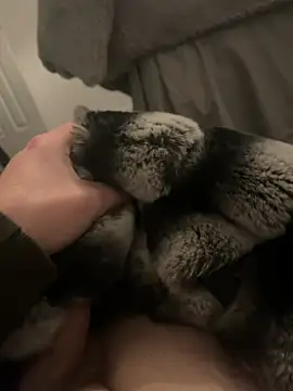 Furdale online show from 01/07/25, 05:20